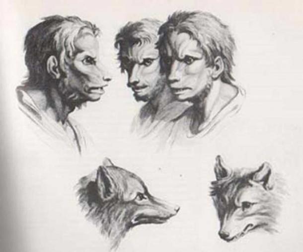 Engravings of wolves and wolf-men.