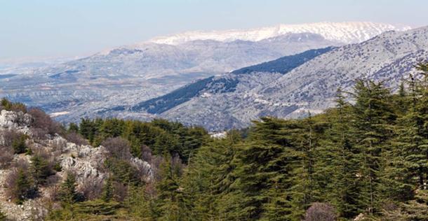 Enkidu told Gilgamesh about his adventures in the mountains. (diak / Adobe)