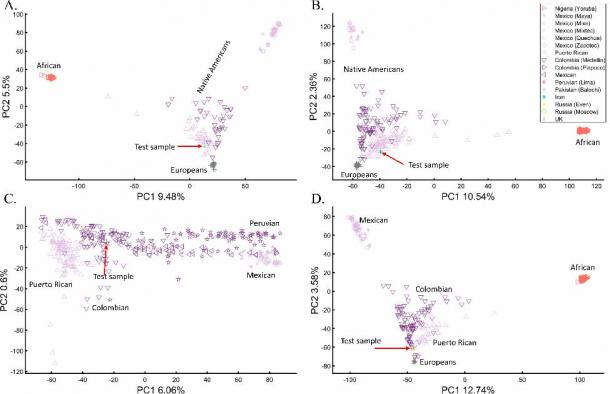 Evaluation of Native American ancestry for four Eurasians: Iranian (A), Pakistani (B), and two Russian (C-D) individuals. (Author Provided)