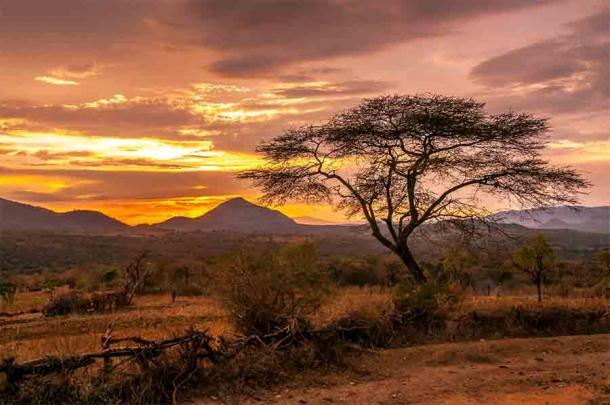 Evening view of an African landscape showing that some areas are green while others are dry or barren. This was true during the African migrations, and also today. (milosk50 / Adobe Stock)