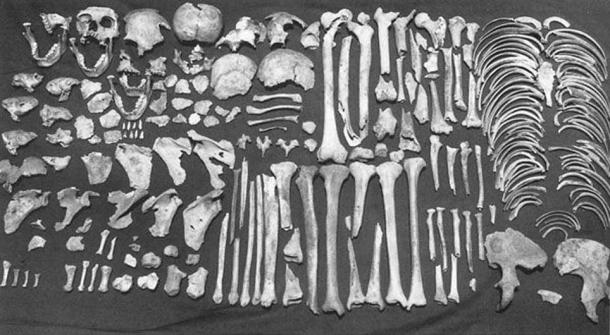 Evidence for the occurrence of cannibalism: the complete collection of human bones from Room 2 of the AD 1150–1200 Anasazi pueblo Houck K, in Arizona.