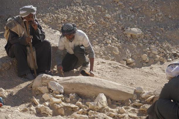 Examining the coffin at the Dra Abu el-Naga site in Luxor, Egypt. (CSIC)