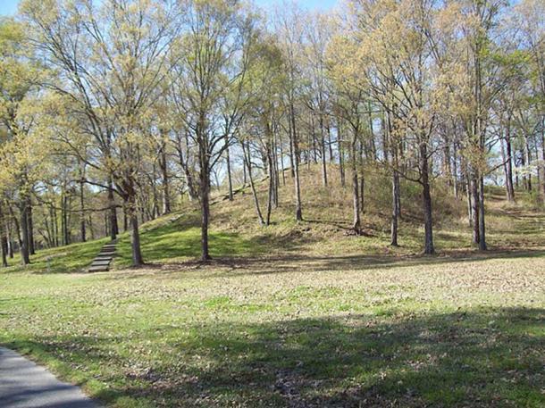 Example of a mound: Mound A or Bird Mound before the trees were removed at Poverty Point site, Louisiana, USA. A prehistoric site of various earthworks, including ring walls and mounds. (CC BY-SA 2.0)