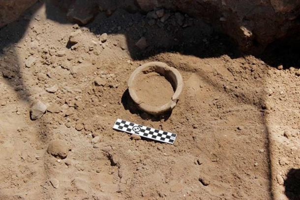 Example of the many pottery pieces found by the ABR dig (Credit: ABR)