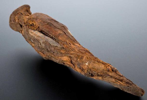 Example of a falcon mummy (Wellcome Collection / CC by SA 4.0)
