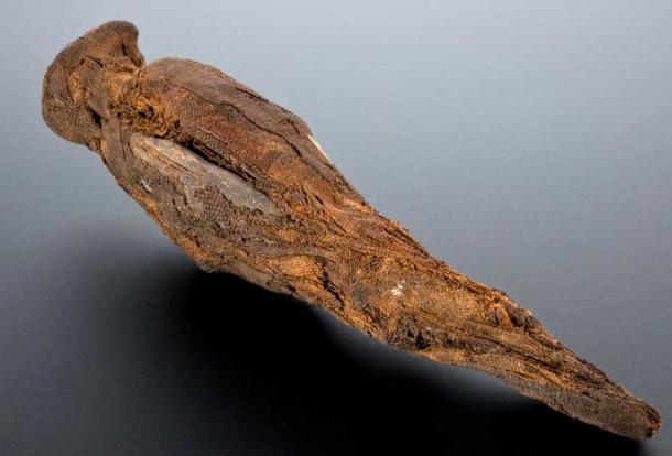 Esempio di mummia di falco (Wellcome Collection / CC di SA 4.0)