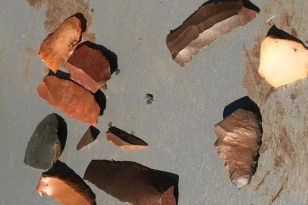 Examples of ancient stone tools uncovered on an archaeological dig in the Hamersley Ranges. (ABC News)