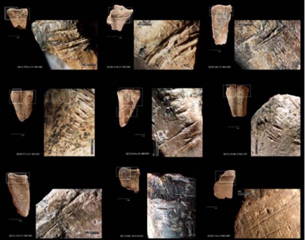 Examples of cut marks associated to disarticulation and/or skinning on deer metapodials from Amudian and Yabrudian levels of Qesem Cave. (Image: Ruth Blasco/ Science Advances)