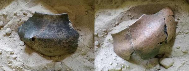 Ejemplos de vasijas de la Edad del Hierro temprana del asentamiento de Pluty (crédito: Daniel Skoczylas)