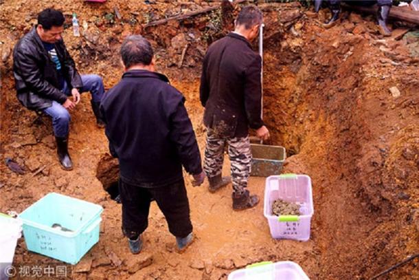 Excavating the coins.