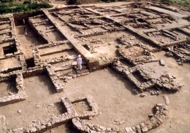 Excavation on a housing area at Dholavira.