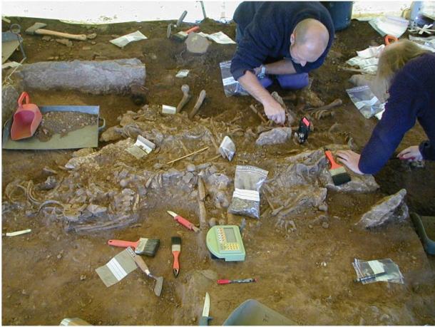 Excavation of the Frälsegården passage grave in 2001. The bones were labeled and measured individually with a total station. (Karl-Göran Sjögren/Nature)