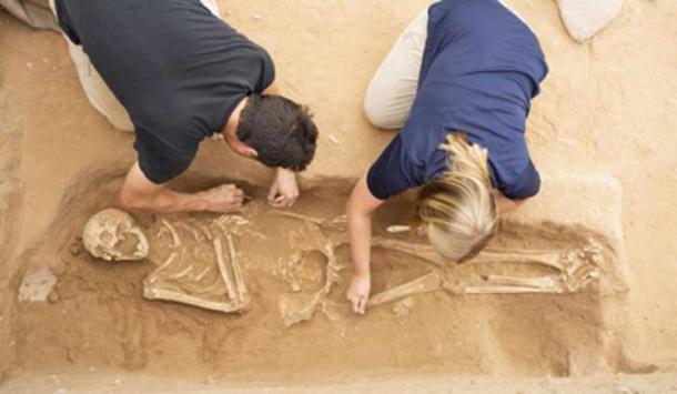 Excavation of the Philistine Cemetery at Ashkelon. Photographer: Melissa Aja. Courtesy Leon Levy Expedition to Ashkelon