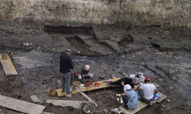 Excavation site at Poggetti Vecchi, Italy, where the implements were found. 
