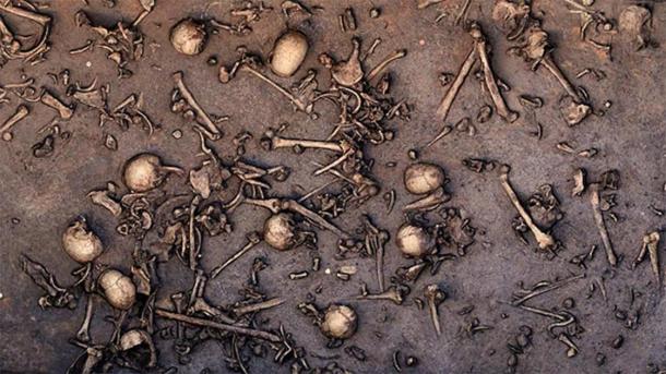 Excavation of an ancient battlefield from the Bronze Age in northern Germany revealed signs of an immense battle, such as closely packed bones, as seen in this 2013 photo of the site. One area of 12 square meters is said to have held 1478 bones, including 20 skulls. (Landesamt für Kultur und Denkmalpflege Mecklenburg-Vorpommern/Landesarchäologie/C. Harte-Reiter)