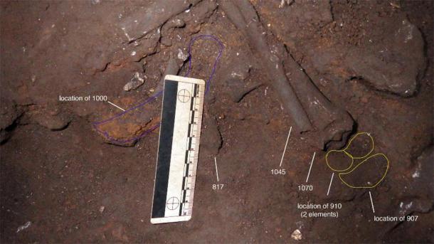 Excavation photograph showing some of the juvenile ancient hominin remains. (Bolter et al. 2020)