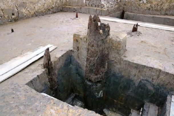 Excavations on a large site has uncovered ironwood poles in the Cao Quy rice field, Lien Khe Commune, Thuy Nguyen District. (Image: vnexpress)