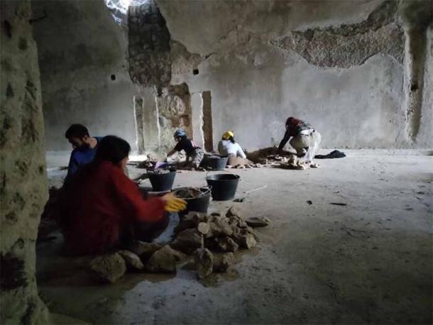 Excavations of the Roman mosaic unearthed at the villa of of Publius Vedius Pollio at Posillipo. (University of Naples 