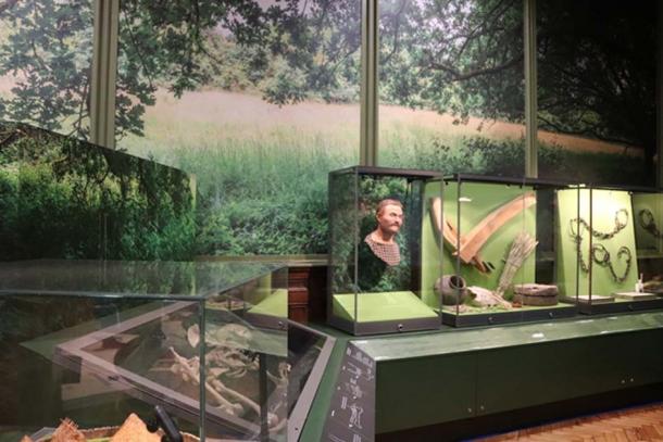 Exhibition at the new Archaeology Gallery, Brighton. (Royal Pavilion & Museums; Brighton & Hove)