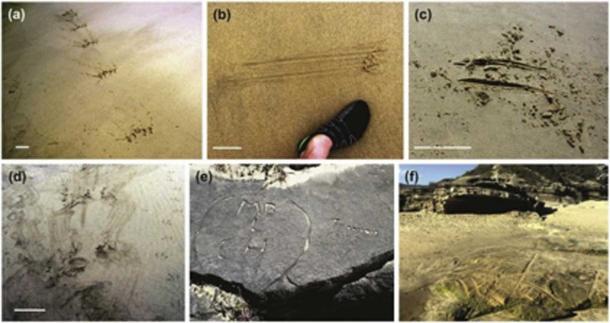 Experts need to study the findings and differentiate the ancient patterns from modern graffiti. (Science Direct)