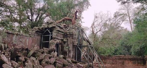 Expertos de Angkor Wat retiran árboles derrumbados. (Knongspor)