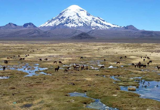 Experts believe that the Sajama Lines were created thousands of years ago, by scraping aside the rough vegetation to expose the lighter subsurface beneath. (Léo Guellec / CC BY-SA 2.0)