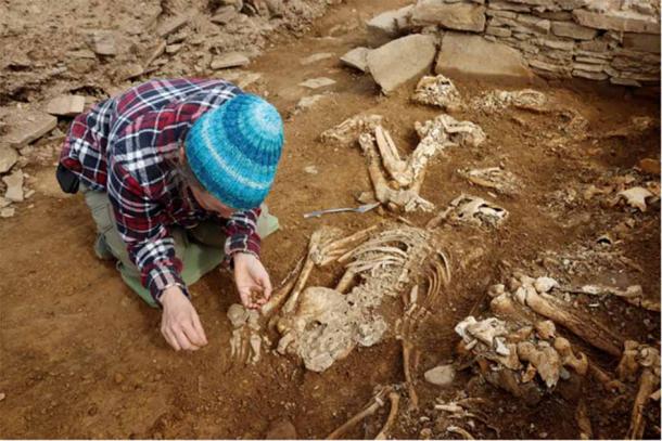 Experts estimate the findings promise to offer fresh perspectives on various aspects of these ancient people's lives. (National Museums Scotland)