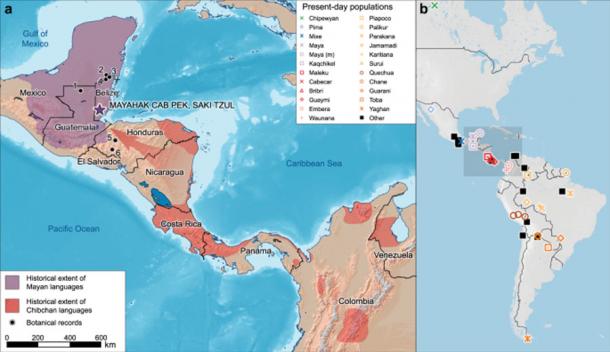 Extensión de las lenguas maya y chibchana (a) y registros paleobotánicos que muestran los primeros sitios de horticultura donde las poblaciones actuales tienen los mismos datos de todo el genoma de los esqueletos de Belice analizados en este estudio. (Naturaleza: Comunicaciones)