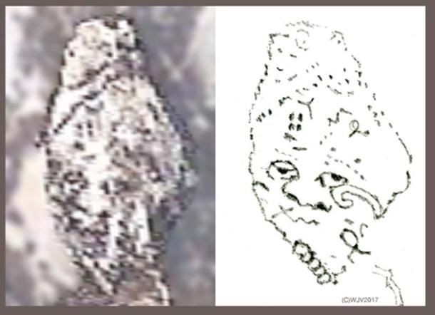 FIGURE 10 and 10a   What an amazing discovery! Carved entirely from white rock, an oval shaped human head with a round eyed, rather chilling stare marked with ancient symbols. Dots in a circle about a center point motif is typical late 13th century BC. Mycenaean. (Size 44 meters high x 33 meters width).