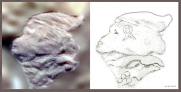 FIGURES 5 et 5a: Un pétroglyphe, situé sur l’île Marambio, dans le coin nord-ouest de l’Antarctique, présente un profil de visage de singe tout à fait inhabituel, qui sous-tend la tête d’un aigle. La tête est marquée d’un symbole SIG en boucle ouverte sur la joue gauche. Trois cercles (pierres) sont joints à l'arrière de la tête de l'aigle. Une date peut-être?