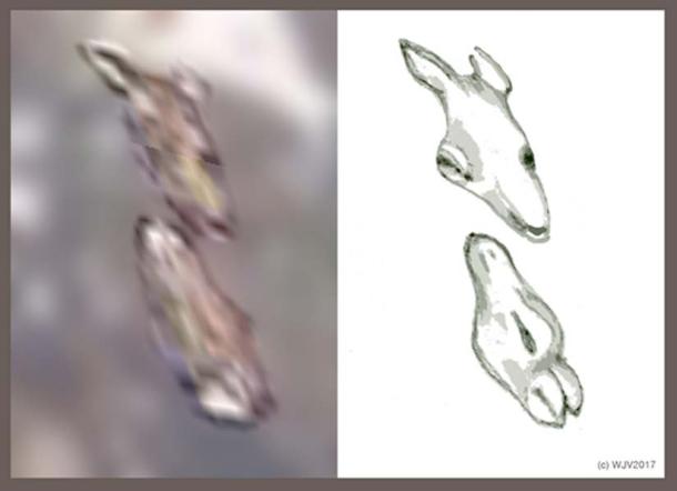 FIGURES 9 and 9a: Amongst the plethora of Antarctica imagery I have recorded each piece of imagery brought forth its own particular surprise. The two animals depicted in this exciting figure were no exception.