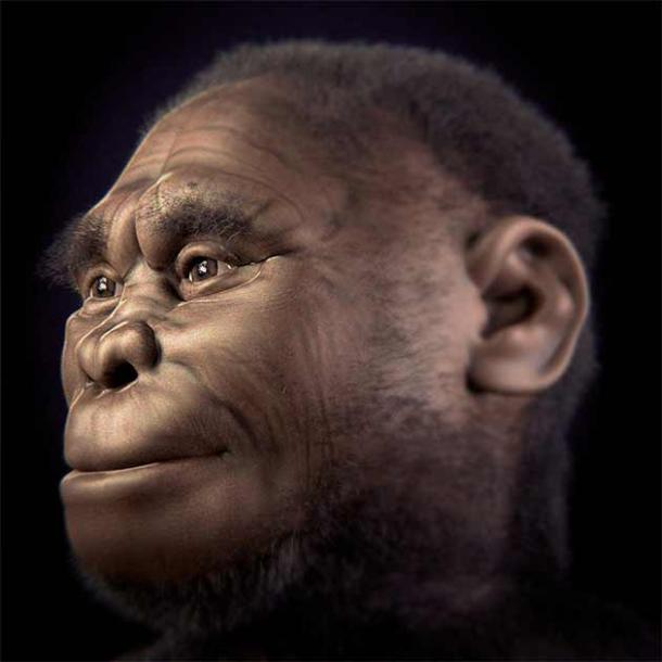 Facial reconstruction of the LB-1 individual member of Homo floresiensis. (Cicero Moraes et alii / CC BY 4.0)