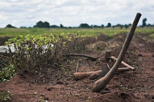 Farm tools from modern Malawi 