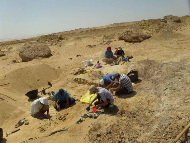Paleontólogos trabajando en la Depresión de Fayum en Egipto, donde los paleontólogos encontraron el fósil de ballena de cuatro patas. (MUVP)