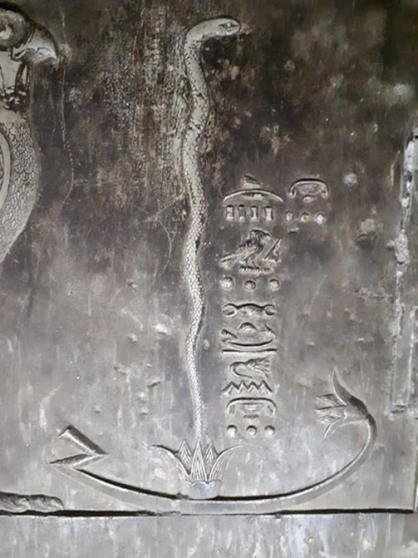 Another snake is seen near the “Dendera light”, but it is without the surrounding bubble as it rises from a lotus flower. (Alicia McDermott)