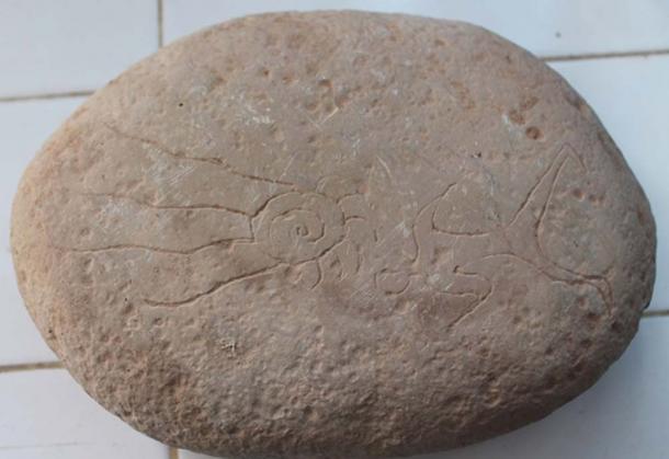 Figure two of the petroglyphs of the Tissint meteorite.  (MeteorNews)