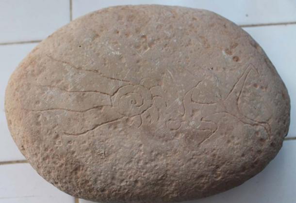 Figure two of the petroglyphs of the Tissint meteorite. (MeteorNews)