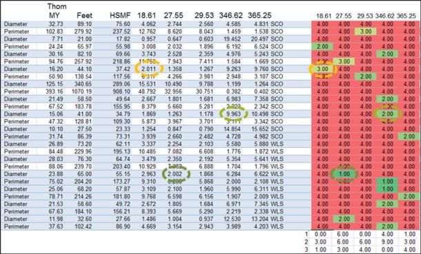 Figure 6. Part of the table for the HSMF. (Author provided)