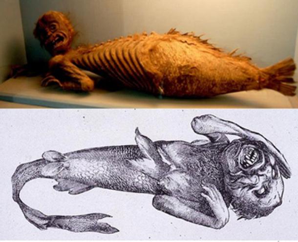 [Top] Fiji Mermaid, in the Folklore section at the Haus der Natur (House of Nature), a natural history collection in Salzburg, Austria. (CC BY-NC-SA 2.0 ) [Bottom] P.T. Barnums Feejee mermaid ( Public Domain )