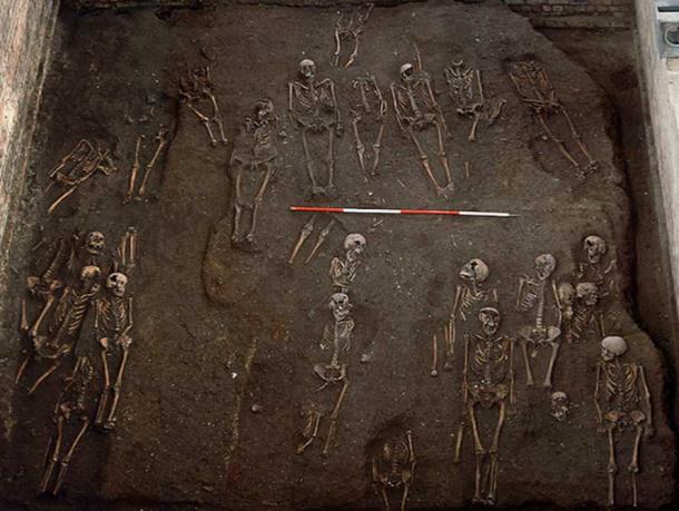 Finds beneath the Old Divinity School, St John's College.