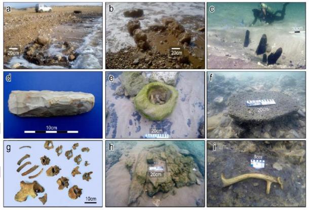 Finds from the Tel Hreiz: (a-b) exposure of stone-built features in shallow water, (c) wooden posts dug into the seabed, (d) bifacial flint adze, (e) in situ stone bowl made of sandstone, (f) in situ basalt grounding stone (scale = 20cm); (g) a burial, (h) suspected stone-built cist grave, and (i) antler of Mesopotamian fallow deer. (Images by E. Galili with the exception of Fig 3G by V. Eshed)