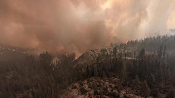 Fire officials said the so-called Colony Fire is expected to reach the Giant Forest sequoia grove within days. (Sequoia and Kings Canyon National Parks)