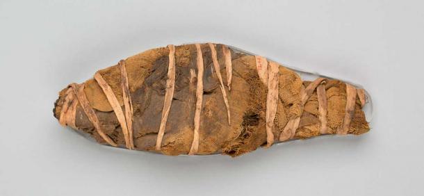 Peces momificados, 664–30 a. AD, Egipto (Museo Metropolitano de Arte / Dominio público)