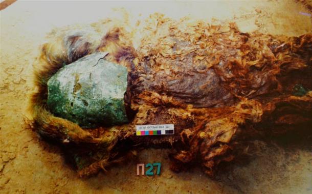 Five mummies were found to be shrouded in copper, while also elaborately covered in reindeer, beaver, wolverine or bear fur. 