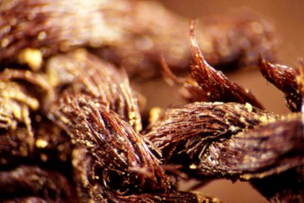 Flax yarn from an ancient Egyptian burial wrapping, heavily saturated with tree resin (a preservative used between 4500 BC and 3100 BC), found at Egypt's Mostagedda cemetery.