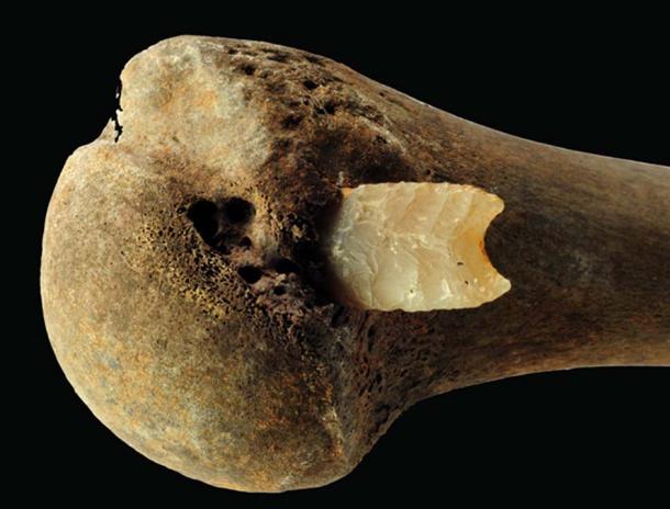 Flint arrowhead in the joint end of a right humerus from the Bronze Age battlefield in Tollense Valley, Photo: S. Suhr, LAKD M-V, Landesarchäologie