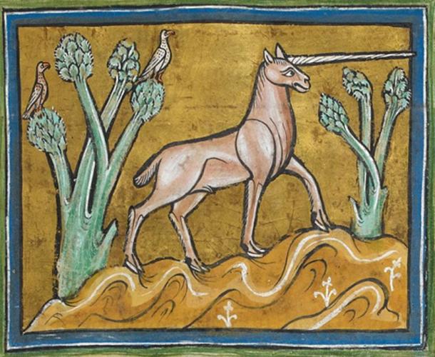 Folio 21r from a 13th century Bestiary, The Rochester Bestiary (British Library, Royal MS 12 F XIII), showing the Monoceros. Made for a librarian in Rochester. (Public Domain)