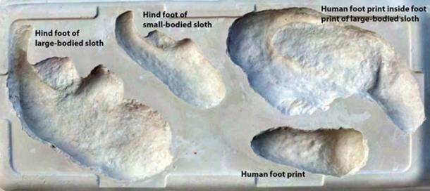 Footprint comparison. David Bustos, National Park Service