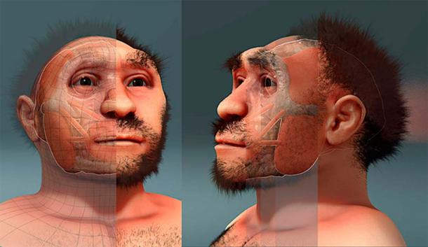 Forensic facial reconstruction of Homo erectus (CC by SA 4.0)