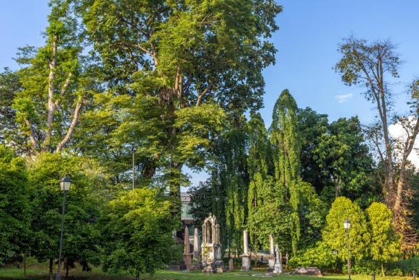 Fort Canning Park, Singapore (Angelika Bentin/ Adobe Stock)